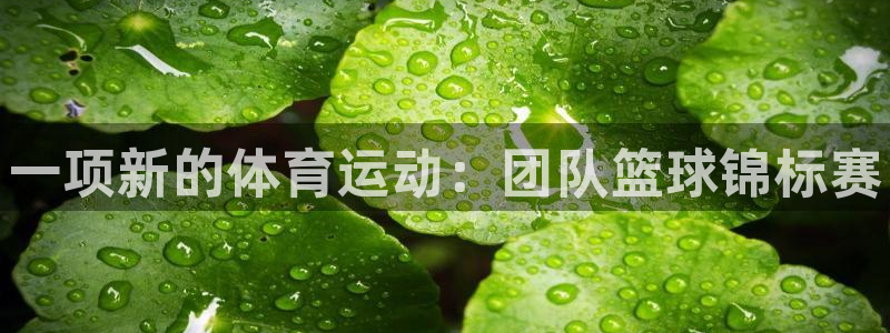 oety欧亿体育官网下载招商电话是多少号码：一项新的
