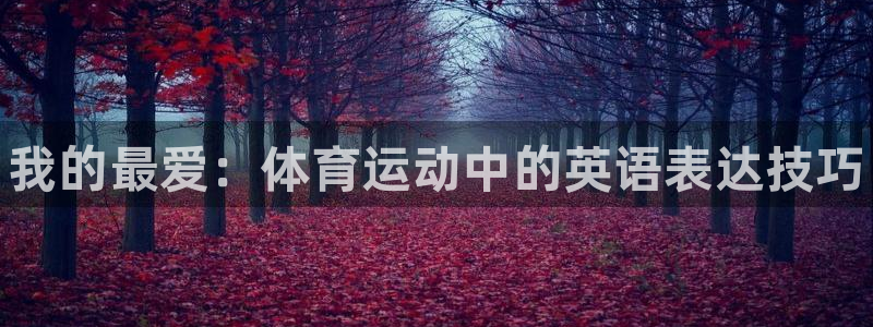 oety欧亿体育官网下载平台注册流程视频：我的最爱：