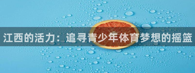 oety欧亿体育官网下载平台注册要钱吗安全吗：江西的