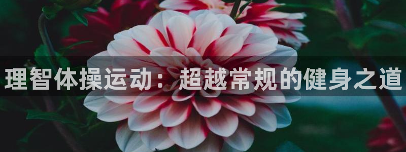 欧亿体育官方正版app集团logo：理智体操运动：超