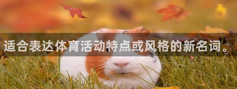 欧亿体育官方正版app官网：适合表达体育活动特点或风