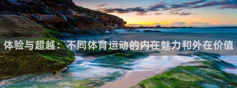 oety欧亿体育官网下载招商电话号码：体验与超越：不
