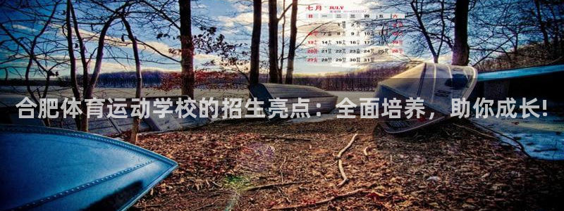 海南oety欧亿体育官网下载发展怎么样：合肥体育运动