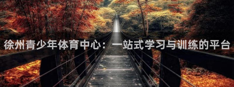 oety欧亿体育官网下载平台假的吗是真的吗：徐州青少年体育中