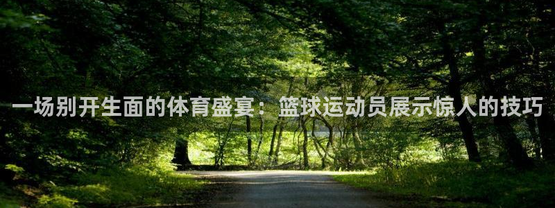 欧亿体育官方正版app娱乐下载：一场别开生面的体育盛宴：篮球