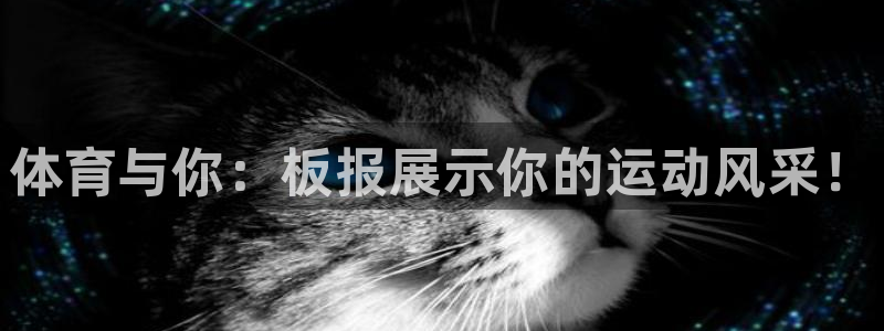 oety欧亿体育官网下载