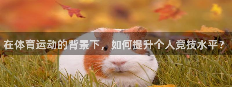 欧亿体育官方正版app官网：在体育运动的背景下，如何提升个人