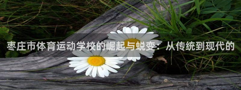 欧亿体育官方正版app官方：枣庄市体育运动学校的崛起