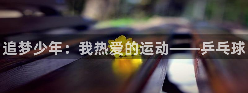 欧亿体育官方正版app新能源：追梦少年：我热爱的运动——乒乓
