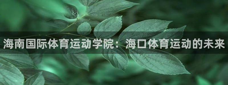 oety欧亿体育官网下载平台注册流程视频：海南国际体育运动学