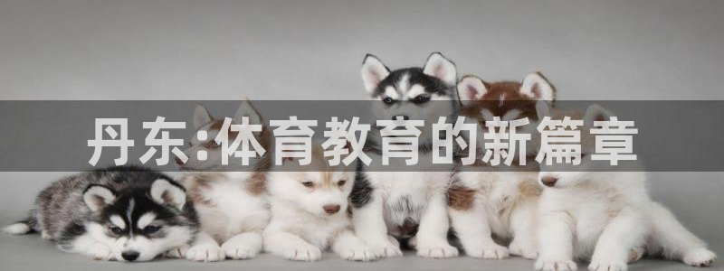 欧亿体育官方正版app娱乐代理怎么样:丹东:体育教育的新篇章