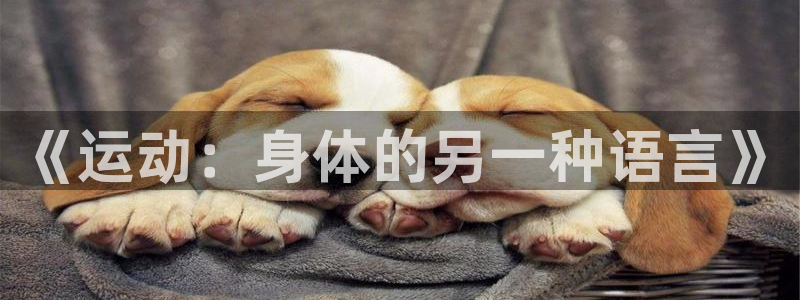 oety欧亿体育官网下载：《运动：身体的另一种语言》