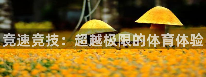 欧亿体育官方正版app娱乐下载：竞速竞技：超越极限的