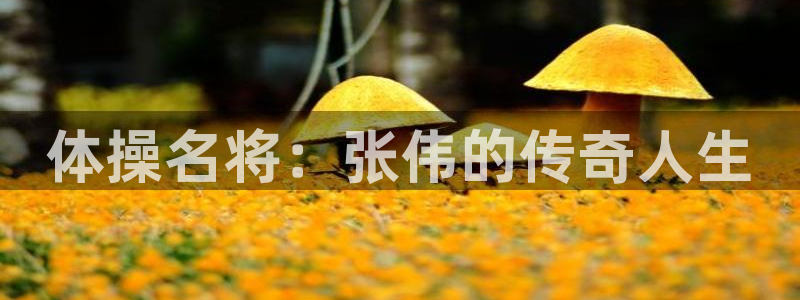 oety欧亿体育官网下载娱乐