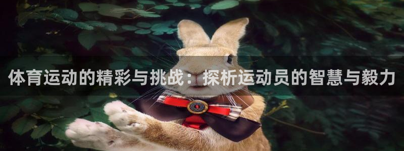 oe欧亿登录注册：体育运动的精彩与挑