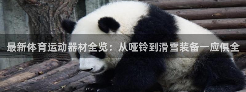 欧亿科技：最新体育运动器材全览：从哑