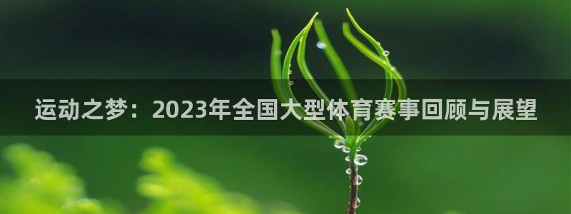 oe欧亿登陆：运动之梦：2023年全